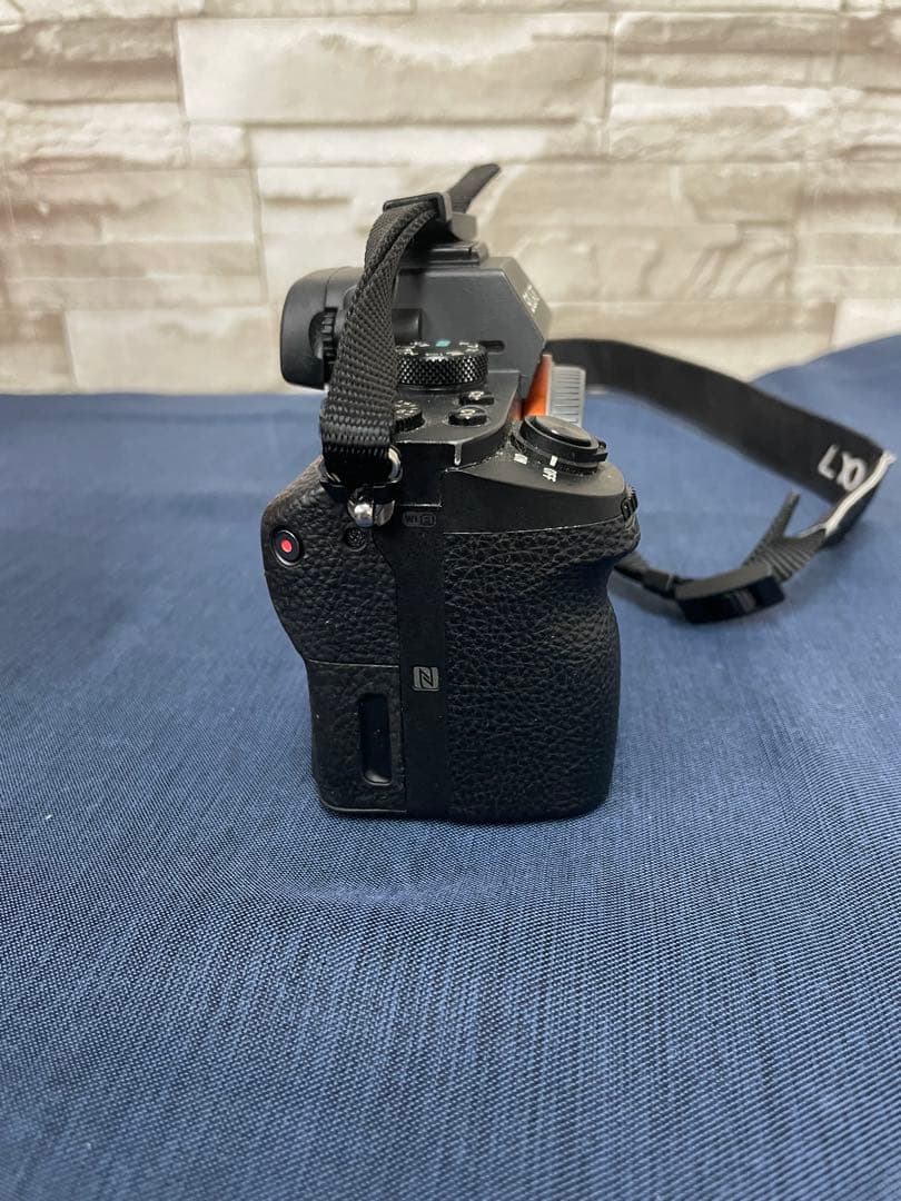Sony Mirrorless Interchangeable Lens Cameras 7 Ii