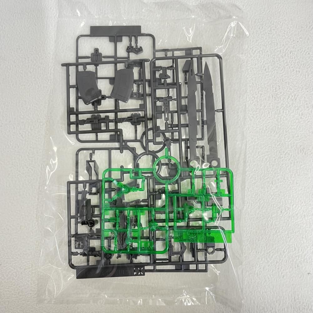 Others G S 1/100 Mg Type-F 00F( [79][240079031113]