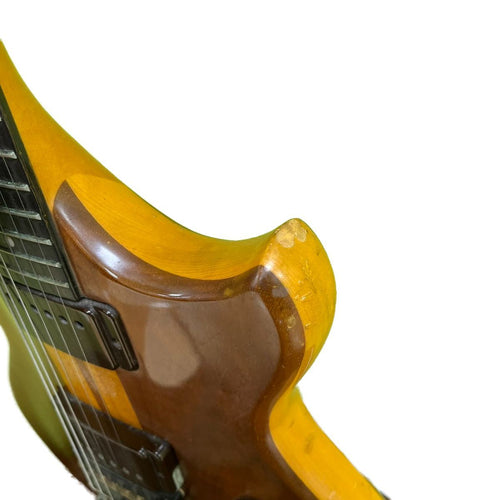 Electric Guitar 80 /Roland/Gr-700/G-808/