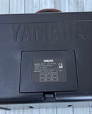 Yamaha Guitar Amplifier Va-10