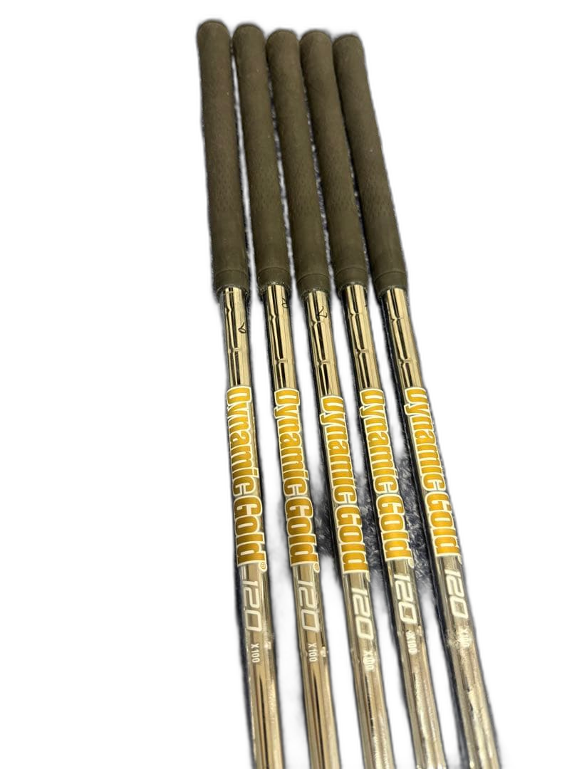 True Temper Shaft Dynamic Gold 120 X100