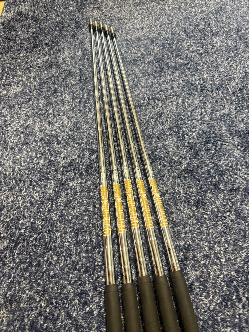 True Temper Shaft Dynamic Gold 120 X100