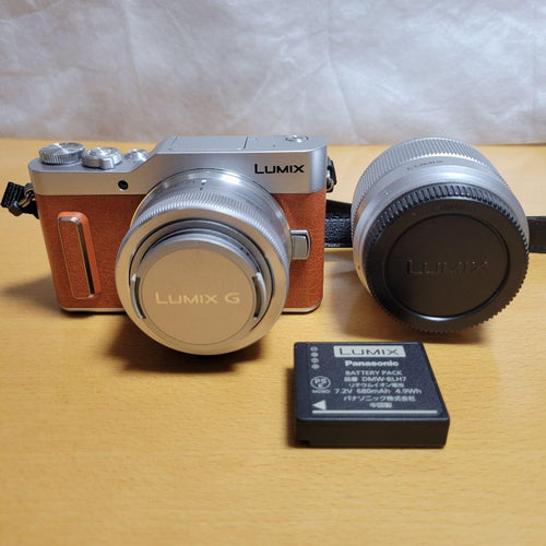 Panasonic Mirrorless Interchangeable Lens Cameras Lumix Dc-Gf10W