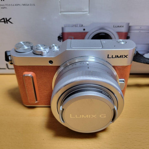 Panasonic Mirrorless Interchangeable Lens Cameras Lumix Dc-Gf10W