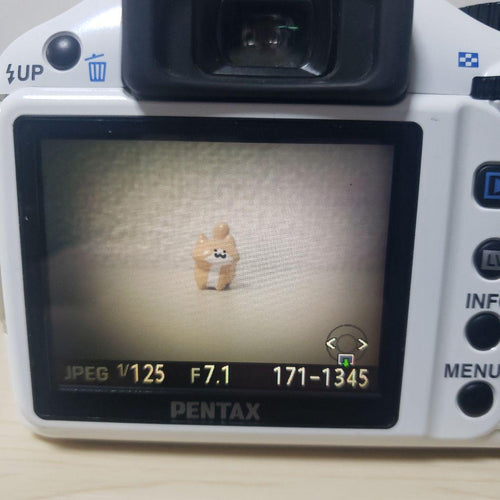 Pentax Digital Slr K-X