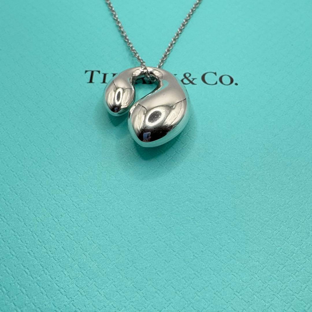 Tiffany Necklace Tiffany&Co