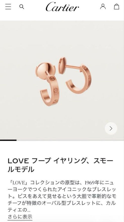 Cartier Earrings (Pairs) Love