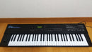 Roland Other D-10 61
