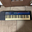 Casio Keyboards Digital Pianos Ca-110 Tone Bank