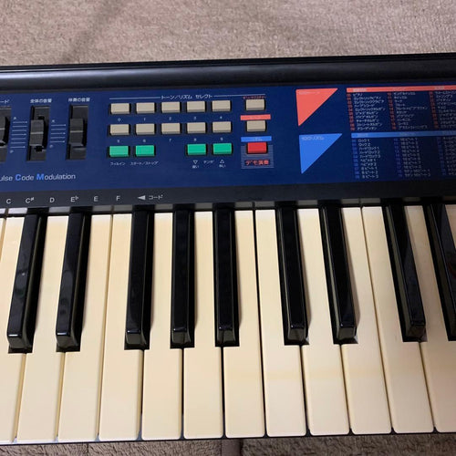 Casio Keyboards Digital Pianos Ca-110 Tone Bank