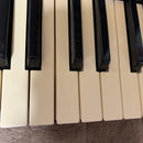 Casio Keyboards Digital Pianos Ca-110 Tone Bank