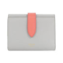 Celine Others 10H483Bru 08Lr/Light Gray+Grenadine Gold(