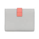 Celine Others 10H483Bru 08Lr/Light Gray+Grenadine Gold(