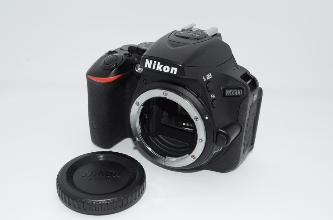Nikon Digital Slrs D5500
