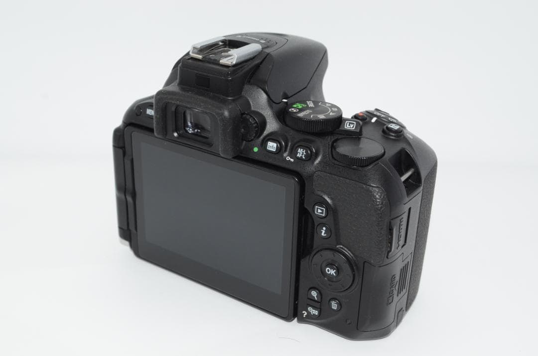 Nikon Digital Slrs D5500