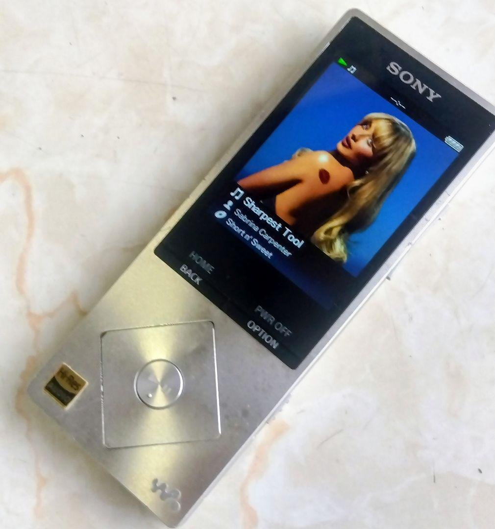 Sony Digital Audio Player Walkman Nw-A25 16G Ok