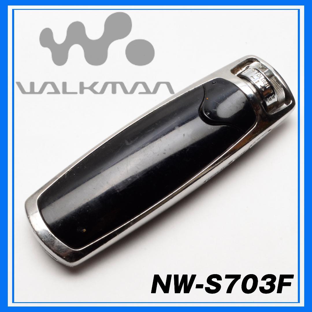 Sony Digital Audio Player Walkman Nw-S703F