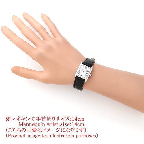 Cartier Others Sm Wsta0042