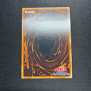 Yu-Gi-Oh! Ocg Duel Monsters (Japanese)