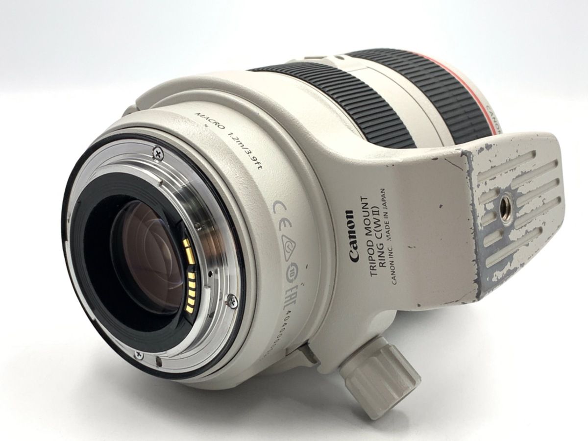 Lens (Zoom) Ef70-300Mm F4-5.6L Is Usm