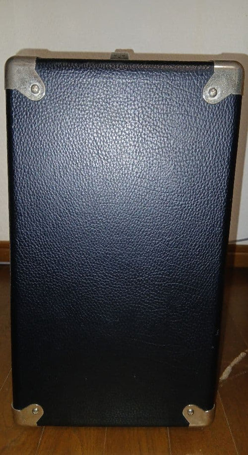 Roland Guitar Amplifiers Blues Cube Hot British El84 Mod
