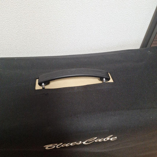 Guitar Amplifiers Blues Cube Artist Roland