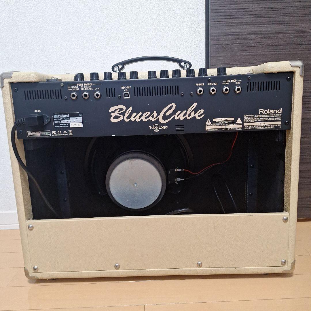 Guitar Amplifiers Blues Cube Artist Roland