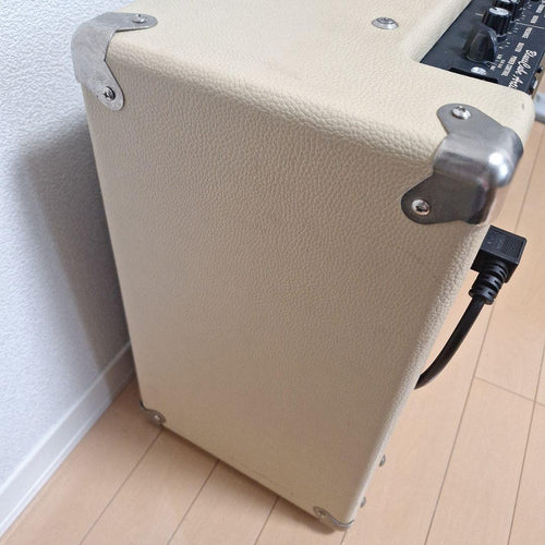 Guitar Amplifiers Blues Cube Artist Roland