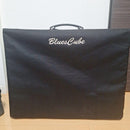 Guitar Amplifiers Blues Cube Artist Roland