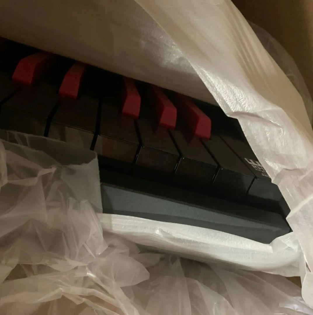 Keyboard Electronic Piano Korg Sv-1 88 Black/Red Reverse Keys Black Red