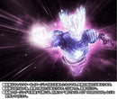 Ultraman S.H.Figuarts S.H. B