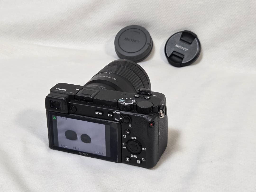 Sony Mirrorless Interchangeable Lens Cameras 6600