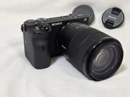 Sony Mirrorless Interchangeable Lens Cameras 6600