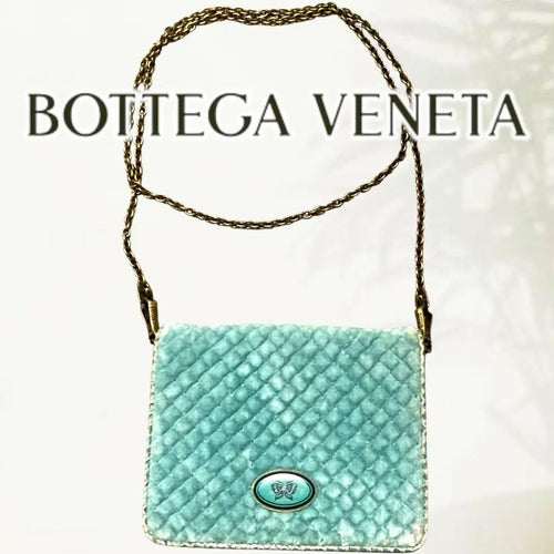 Bottega Veneta Party Bag 253