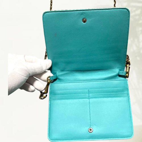 Bottega Veneta Party Bag 253