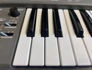 Roland Modular Synthesizer Sh 101