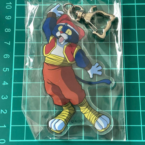 Key Chain/Acrylic Chain