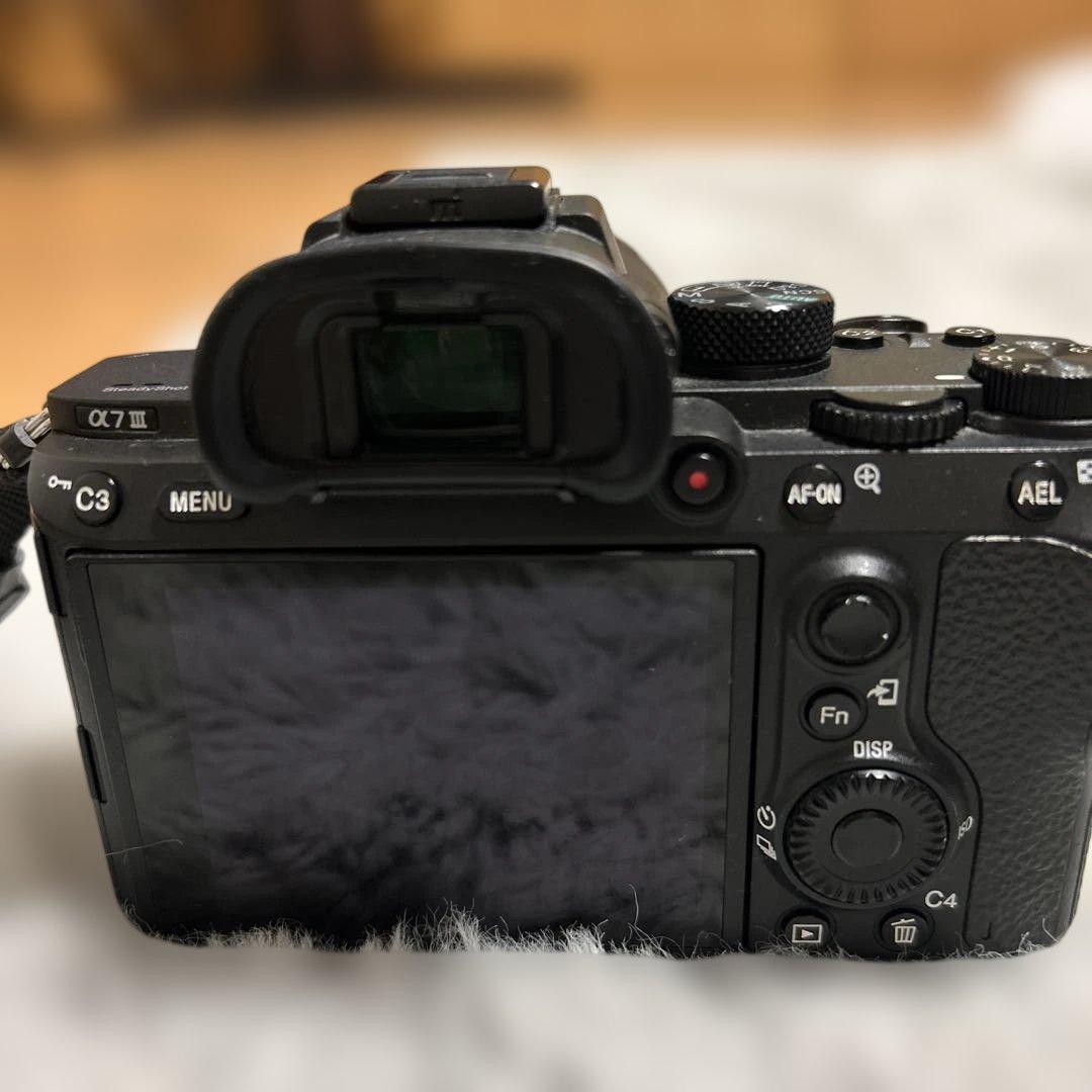 Sony Other 7 Iii Tamron 28-75Mm F/2.8