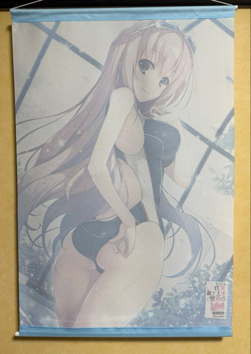 Tapestry B2
