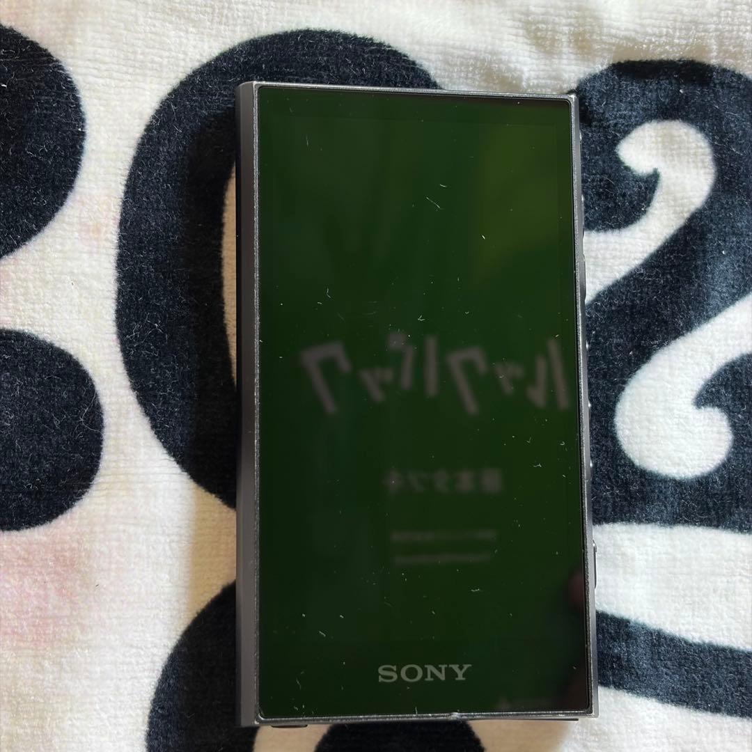 Sony Digital Audio Players Walkman Nw-A307 64Gb