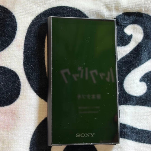 Sony Digital Audio Players Walkman Nw-A307 64Gb