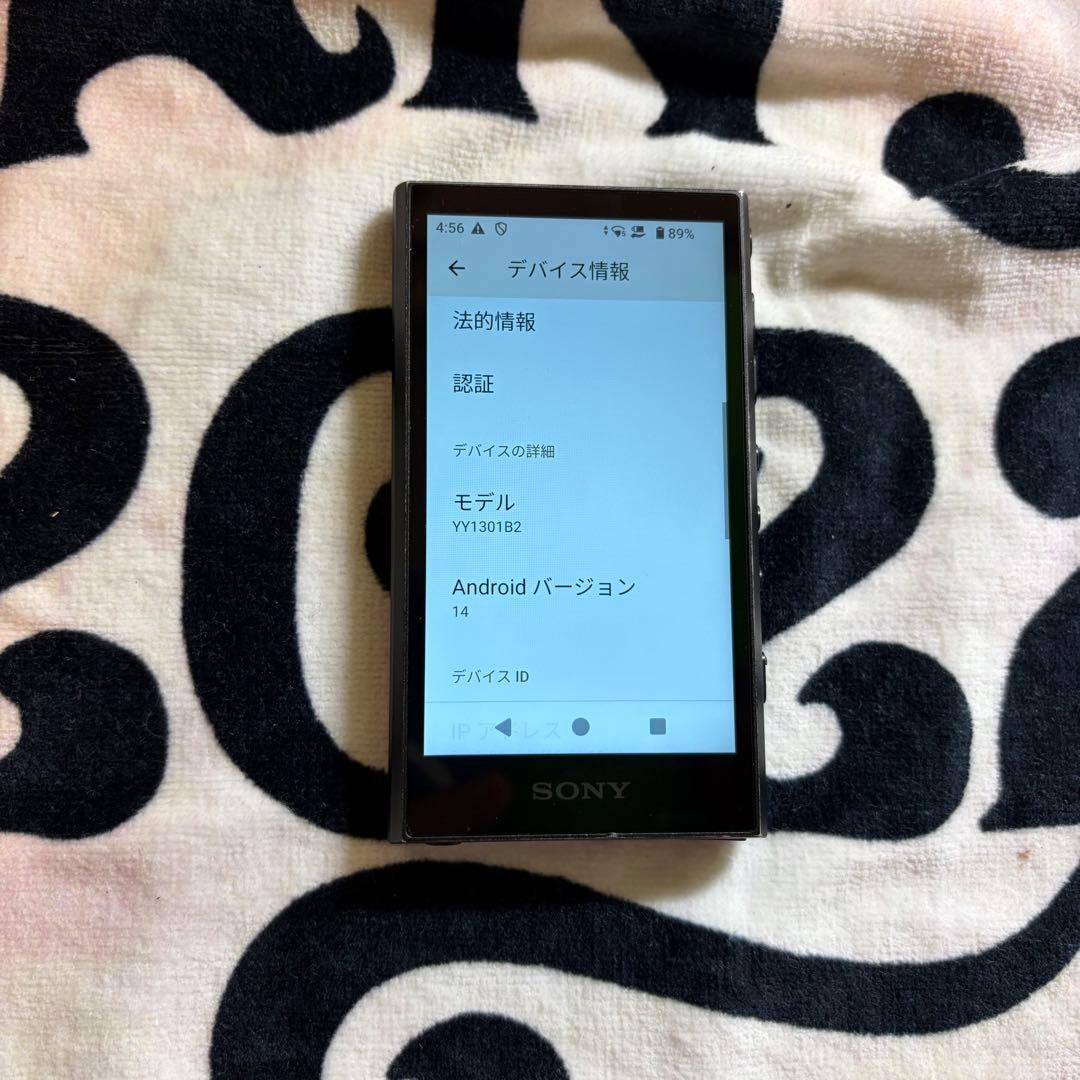 Sony Digital Audio Players Walkman Nw-A307 64Gb