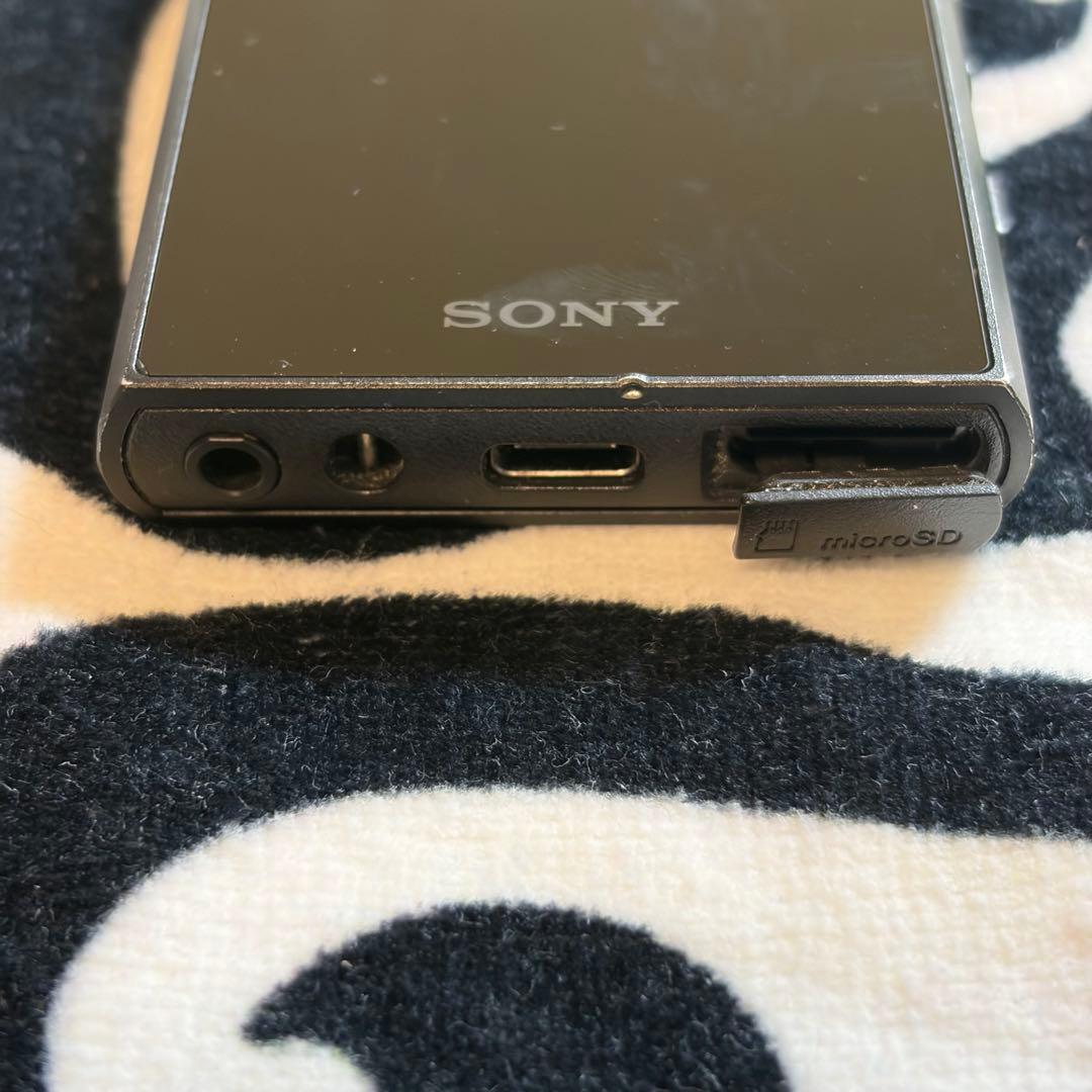 Sony Digital Audio Players Walkman Nw-A307 64Gb