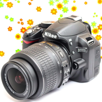 Nikon Digital Slr D3100