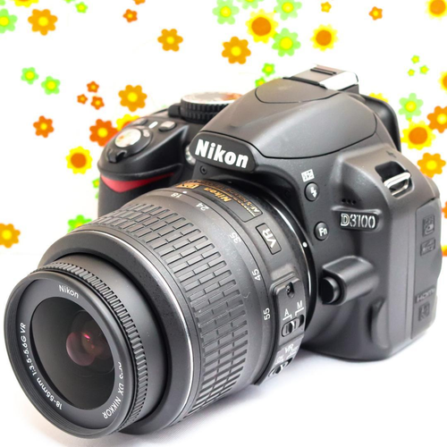 Nikon Digital Slr D3100