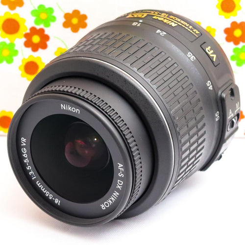 Nikon Digital Slr D3100