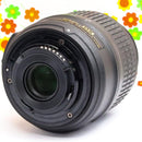 Nikon Digital Slr D3100