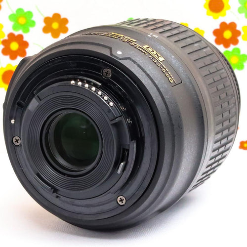 Nikon Digital Slr D3100