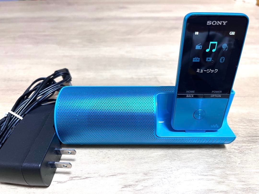 Sony Others Nw-S313