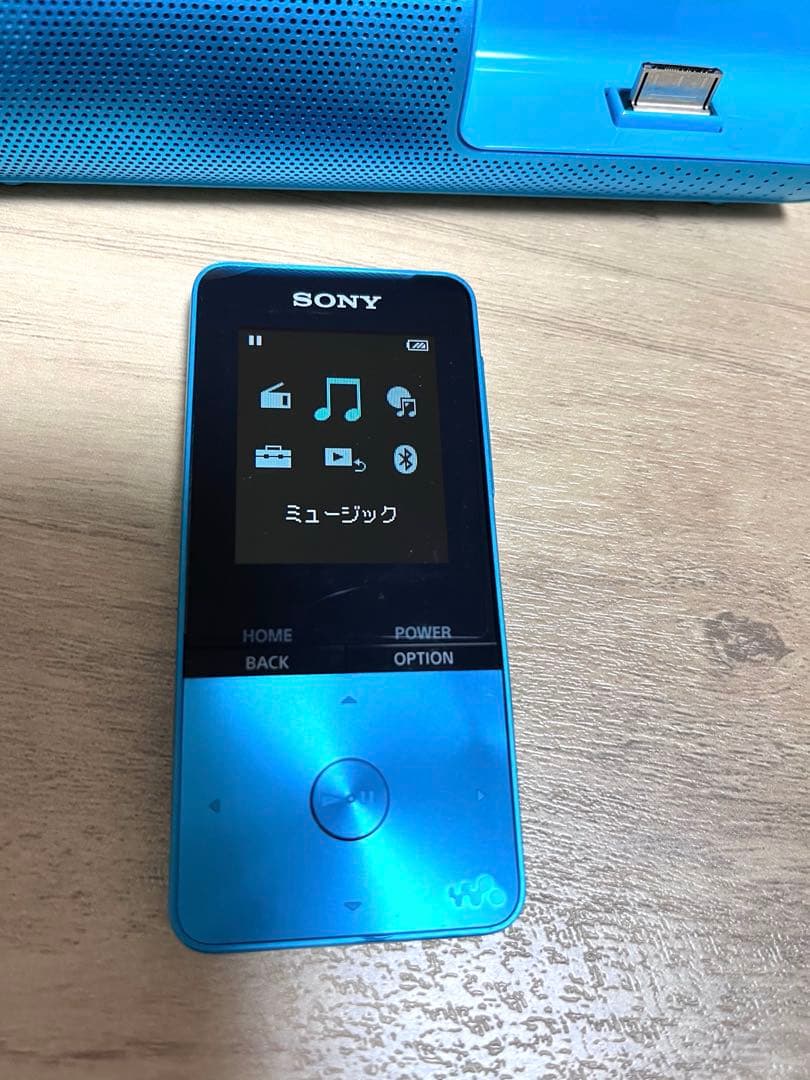 Sony Others Nw-S313